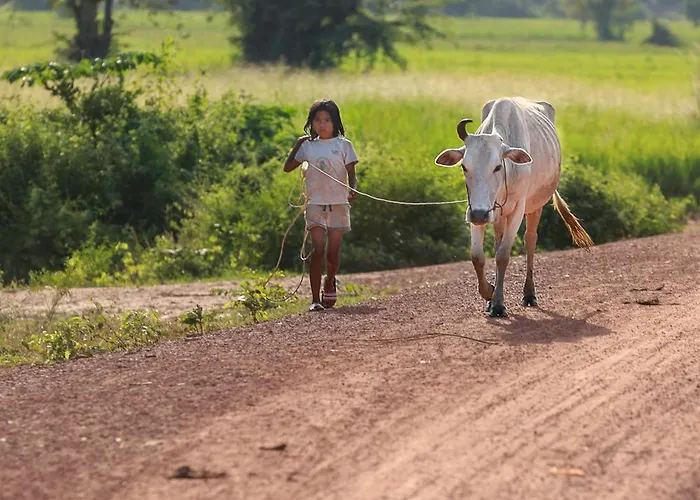 Chansor 16 By Siem Reap Homesteading * Phumi Trach Pok