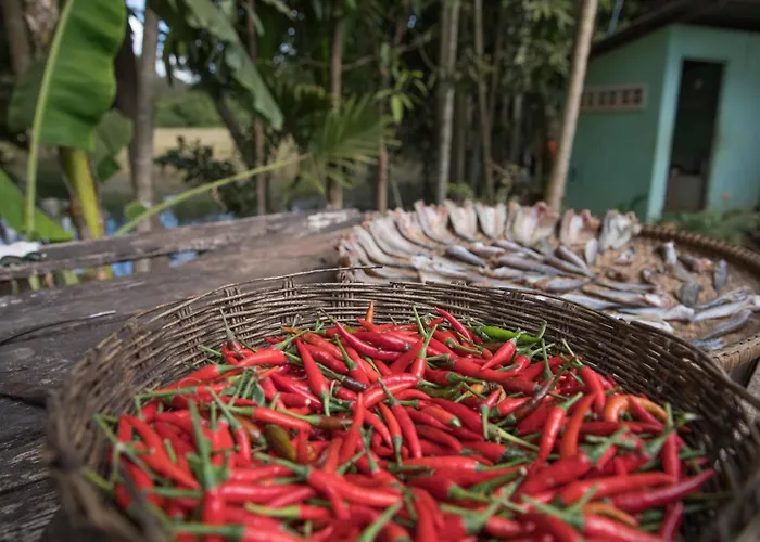 Chansor 16 By Siem Reap Homesteading