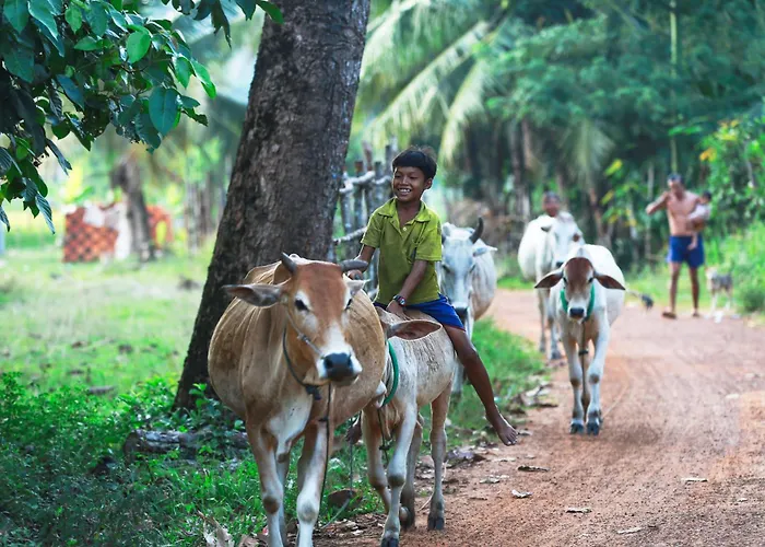 Kwatera prywatna Chansor 16 By Siem Reap Homesteading *