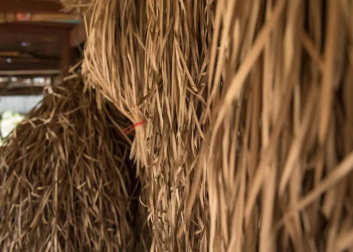 Chansor 16 By Siem Reap Homesteading * Phumi Trach Pok