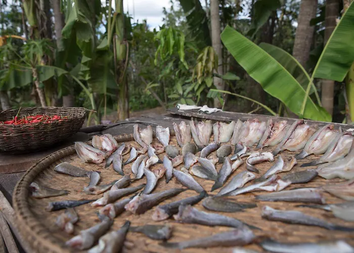 Kwatera prywatna Chansor 16 By Siem Reap Homesteading