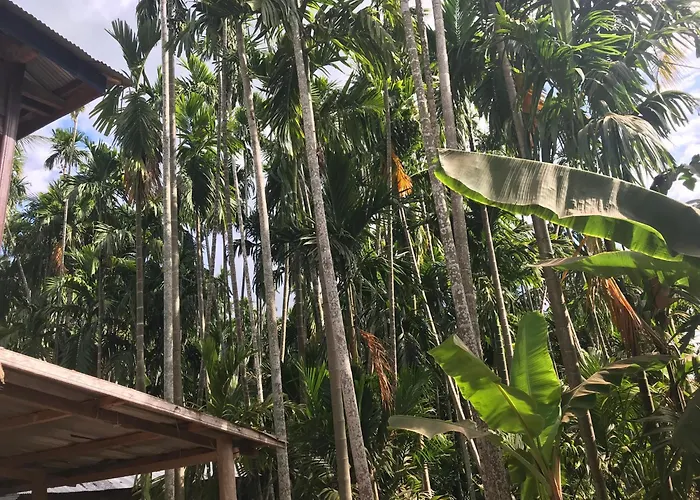 Chansor 16 By Siem Reap Homesteading *