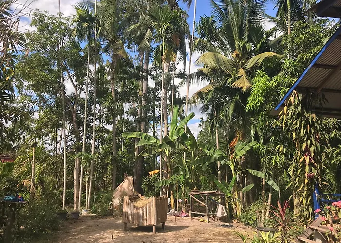 Kwatera prywatna Chansor 16 By Siem Reap Homesteading